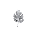 MONSTERA LEAF