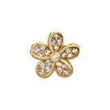KAENA FLOWER