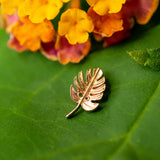 MONSTERA LEAF