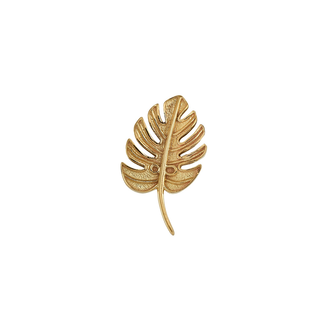 MONSTERA LEAF