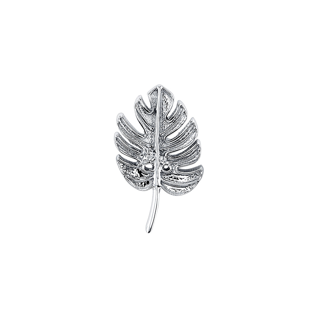 MONSTERA LEAF