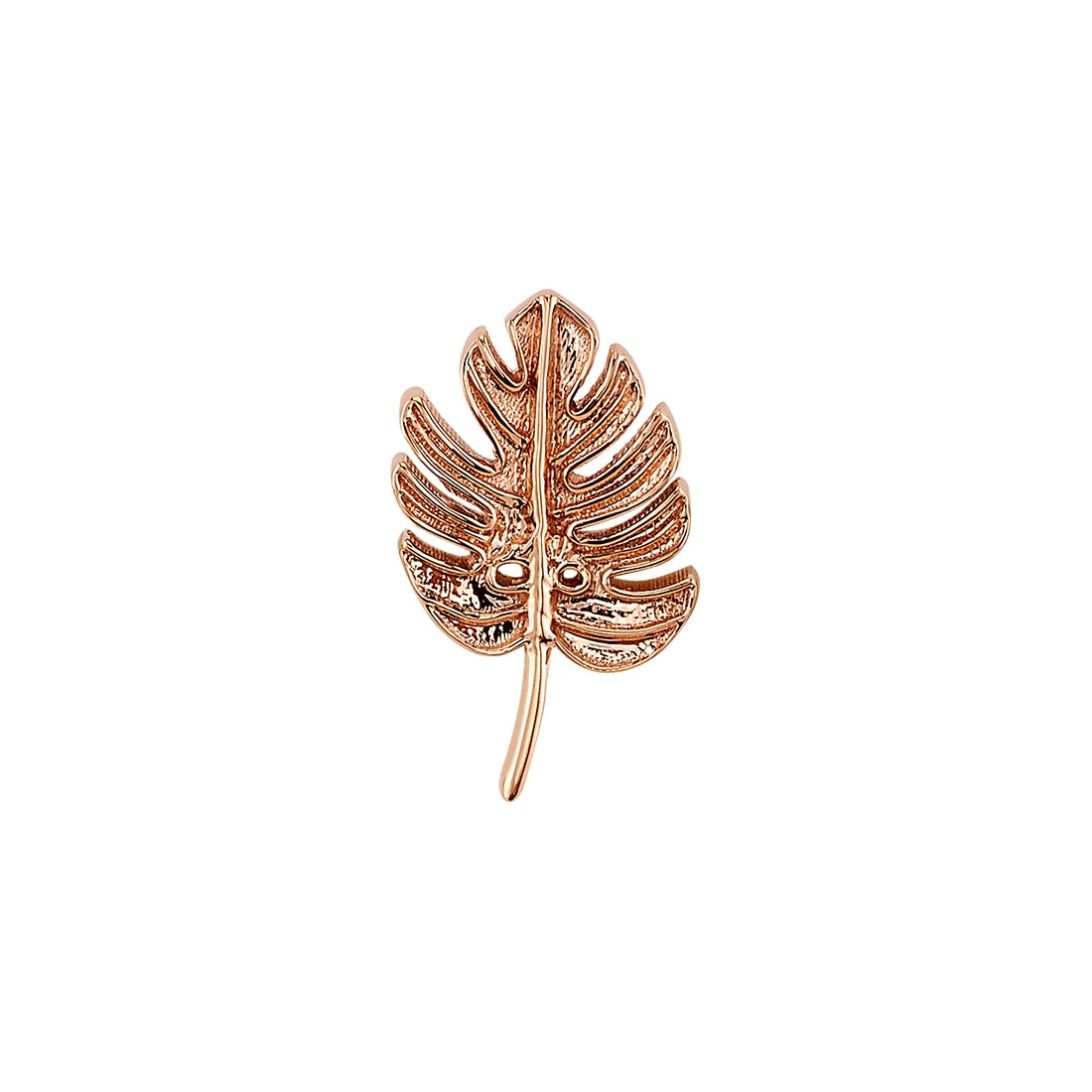 MONSTERA LEAF