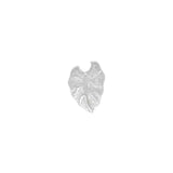 KALO LEAF