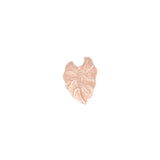 KALO LEAF