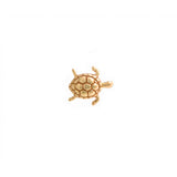 Swimming Turtle
