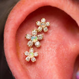 CHERRY BLOSSOM CLUSTER